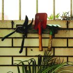 article image - 